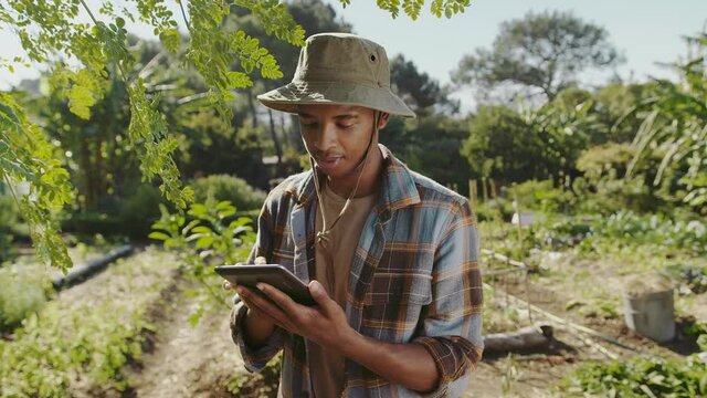 Mixed race male gardener standing in vegetable patch with digital tablet 