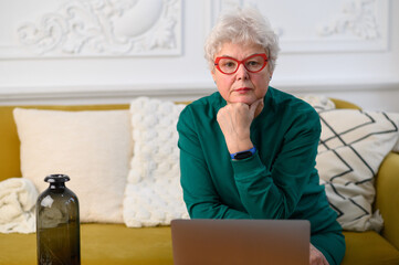 Fototapeta premium Senior mature older woman watching business training, online webinar on laptop computer remote working or social distance learning from home