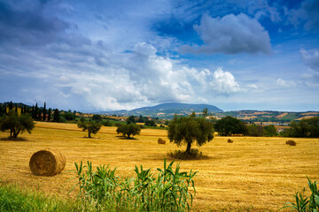 Landscape of the Conero, Marche, italy