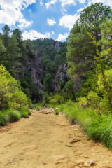 Fototapeta premium El parrizal located in Beceite, Teruel, wonderful national park with lush pine forests for a nice walk and relax in nature, Spain..