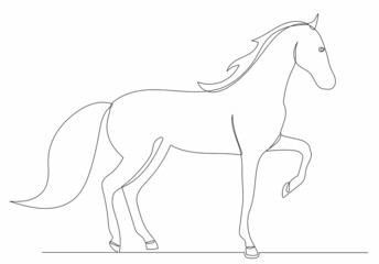 Naklejka na ściany i meble horse drawing by one continuous line, sketch, vector