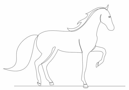 Horse sketch (pencil) by NillaMustikka on DeviantArt-suu.vn