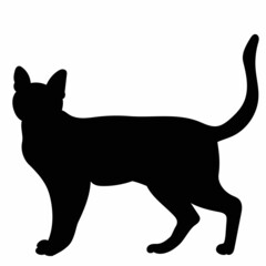 cat on a white background black silhouette, isolated, vector
