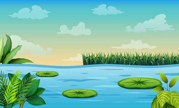 Scene with lotus in the pond illustration