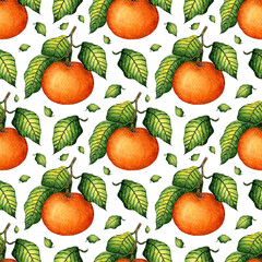 Watercolor painting pattern of ripe tangerine with green leaves. Seamless repeating juicy citrus print. Winter seasonal fruits. Vitamin food isolated on white background. hand-drawn.