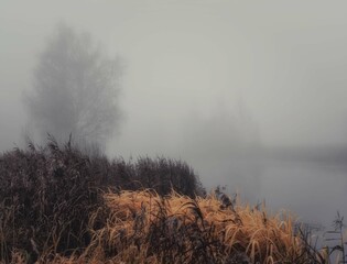 Autumn river in the morning in thick fog