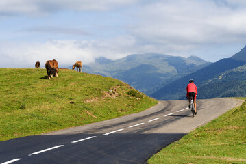 Cycliste sur une route de montagne dans les Pyrénées