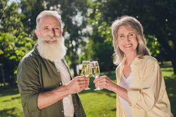 Photo of pensioner couple in love man hold glass sparkling wine clink glass wear casual outfit nature park garden outside