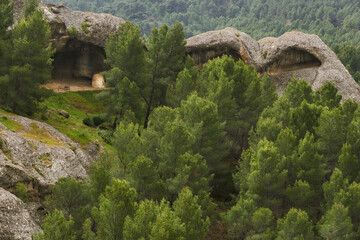 Geological formations of Tafoni (Taffoni) in the sandstone rock in El Chorro, Ardales. Spain