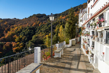 cemetery of the village of Benalauria in the province of Malaga and located in the Genal valley. Spain