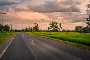 Rural roads with fields and skies background.Country Road.Paddy rice field green grass on beautiful blue sky background and road , home or village