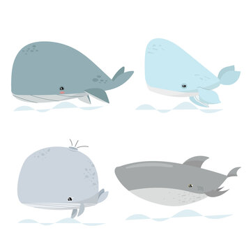 Cute whales. Marine life animals, underwater blue whales. Vector illustration isolated on white background.