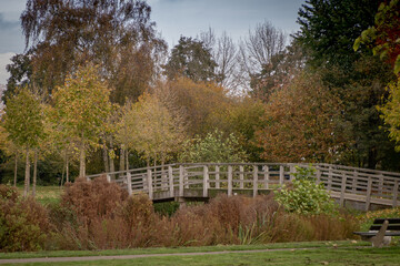 Wooden bridge in a park