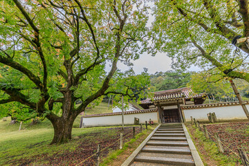 秋の旧閑谷学校　岡山県備前市　Former Shizutani School in Autumn. Okayama-ken Bizen city