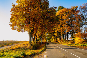 Fototapeta premium Straße