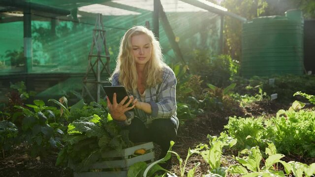 Caucasian female farmer holding digital tablet swiping searching through images 