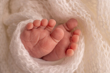 The tiny foot of a newborn. Soft feet of a newborn in a white woolen blanket. Close up of toes, heels and feet of a newborn baby. Studio Macro photography. Woman's happiness. Photography, concept.
