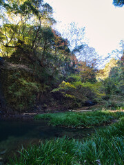 四方木不動滝周辺の紅葉