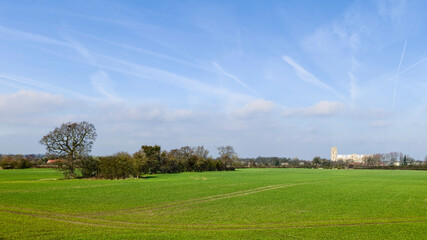 Rural landscape in spring with minster on horizon, Beverley, UK.