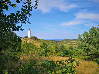 Sommer auf Insel Hiddensee, Ostsee