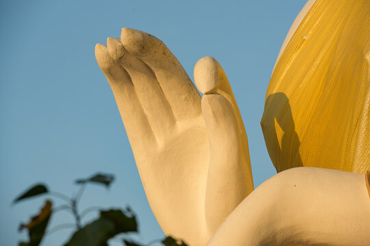 Buddha Hands Showing Mercy To All Who Respect Him.