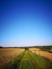 Früher Herbst auf dem Sand bei Unkeroda
