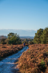 Hindhead common looking towards the South Downs