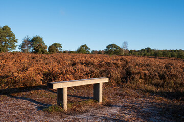 Hindhead common looking towards the South Downs