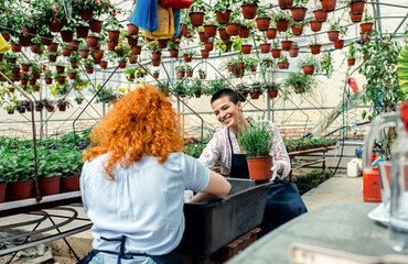 Obraz premium Two female florists working with flowers in a greenhouse.