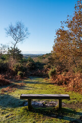 Hindhead common looking towards the South Downs