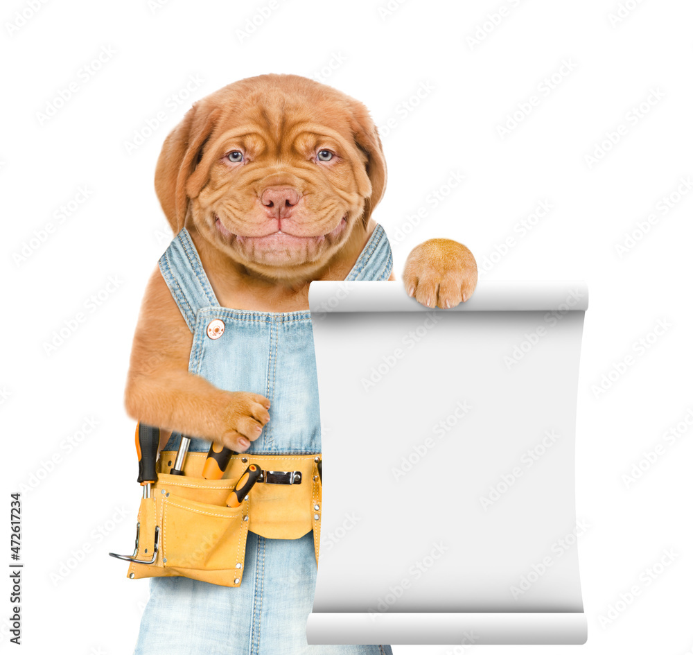 Poster Smiling mastiff puppy wearing overalls with tool belt shows empty list. Isolated on white background