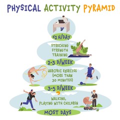 Fototapeta premium Everyday physical activity pyramid. Vector illustration isolated on a white background