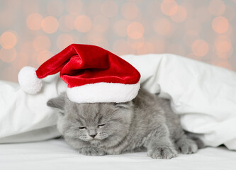 Cute kitten wearing red santa hat sleeps under white blanket on festive background