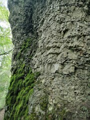 Basalt, Gerolsteiner Felsenpfad