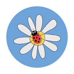 vector  red ladybird on a camomile flower