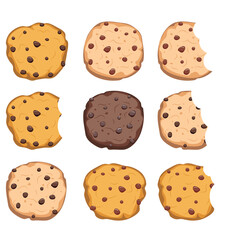 vector set of chocolate chip cookies