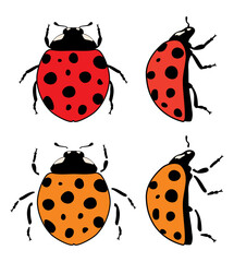 vector ladybird flat symbols