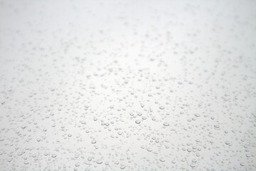 water drops on white background