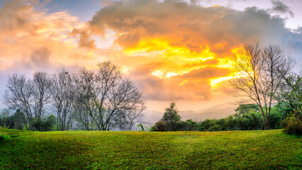 Beautiful sunrise on the mountain  with golden cloud background, Doi Mae taman , Thailand.