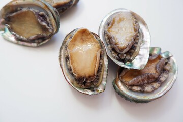 Raw abalone on the white background. Sea food, Cooking ingredients.