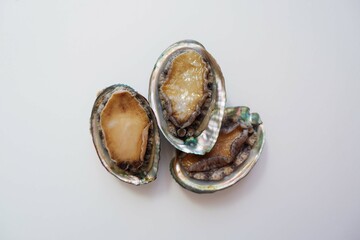 Raw abalone on the white background. Sea food, Cooking ingredients.