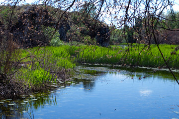 Fototapeta na wymiar the lake backwater is surrounded by greenery