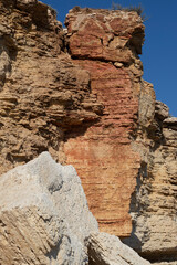 Rock of three flowers with a tuft of grass