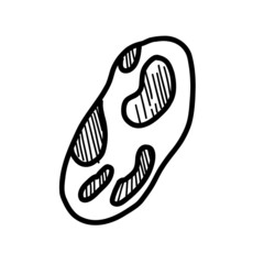 Stone or Pebble. Vector illustration in the style of a doodle
