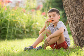 little child sitting on the grass