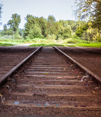 Fototapeta premium railraod track not in use anymore