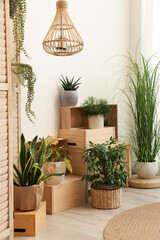 Cozy room interior with beautiful green plants and stylish furniture