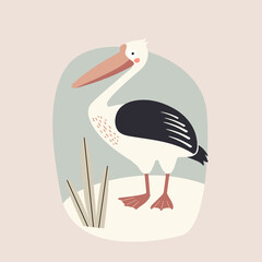 white bird pelican with background, vector illustration in cartoon style for posters and cards