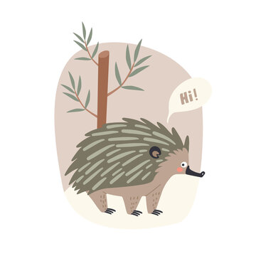 cute animal australian echidna with background, vector illustration in cartoon style for posters and cards