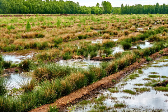 Water-filled drainage trenches in a moorland for draining for peat extraction